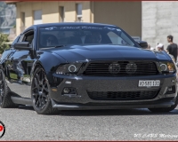 TSR Watermark - 0633